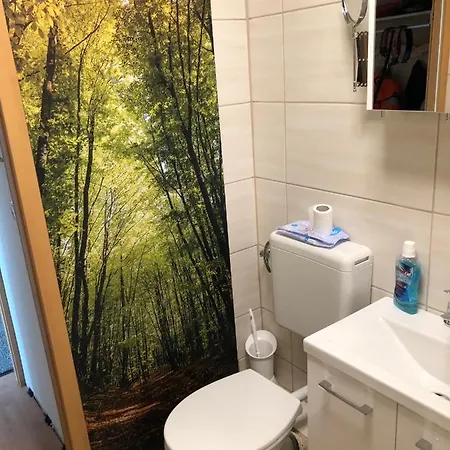 Ferienwohnung Harzblick Mit Schwimmbad Braunlage